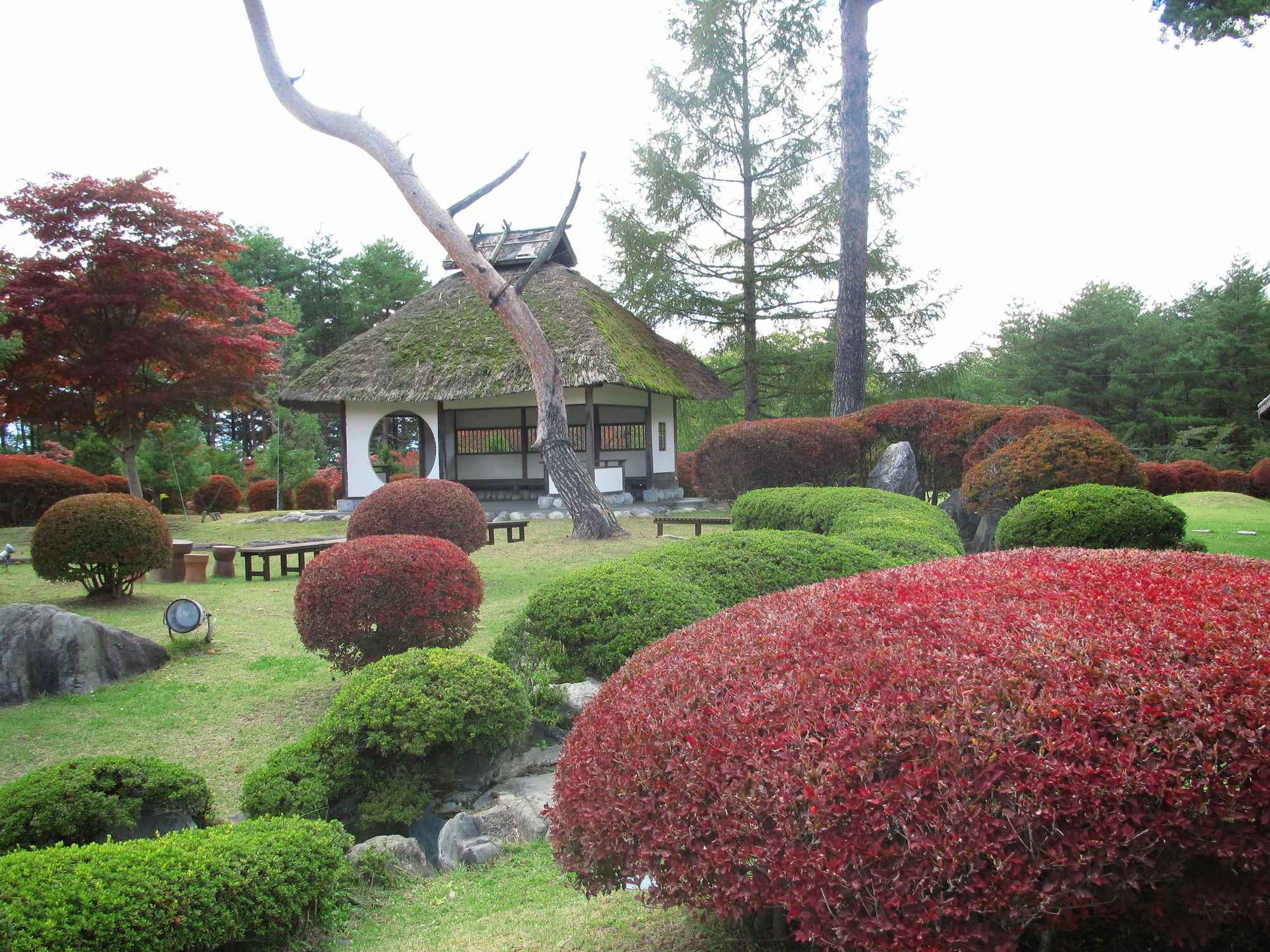 Suwakonomori Shikitei Hotel Suwa  Exterior foto